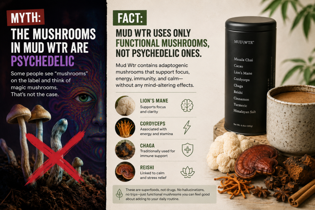 Myth: The Mushrooms in Mud Wtr Are Psychedelic
